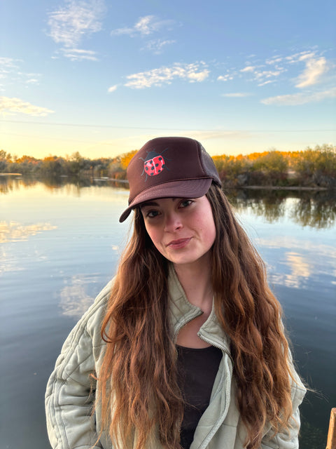 Ladybug Trucker