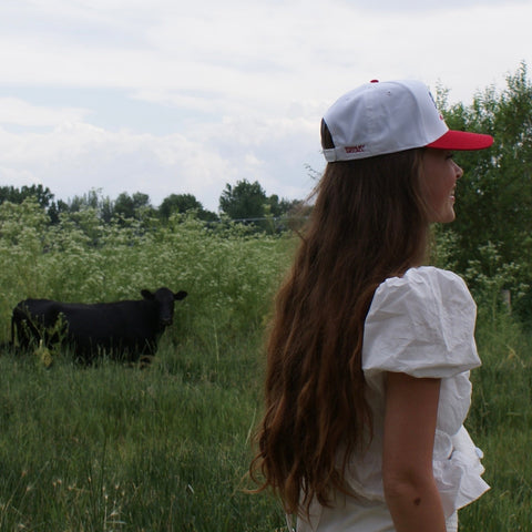 SM Logo American Flag Hat