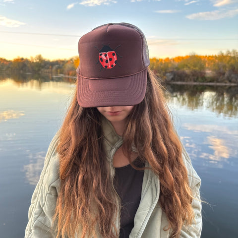 Ladybug Trucker