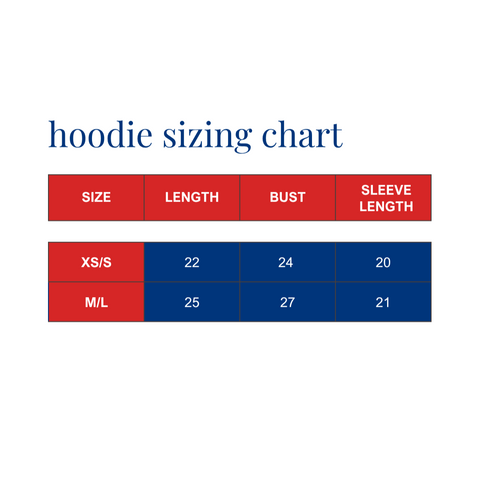 SM Logo American Flag Hoodie